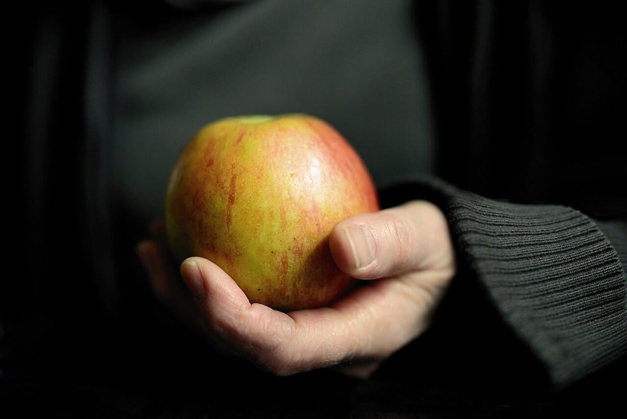 Forbidden Fruits!
